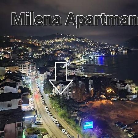 Apartmani Milena 赫尔采格诺维 外观 照片