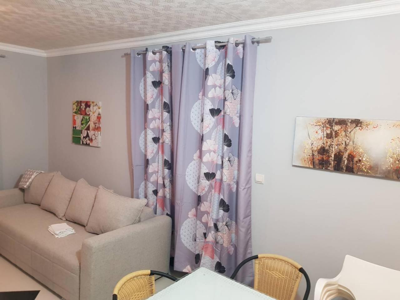 Apartmani Milena 赫尔采格诺维 外观 照片